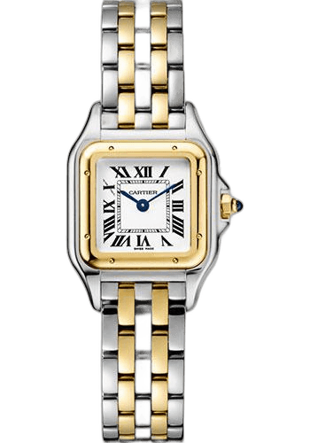 Panthere de Cartier Watch - 22 mm Yellow Gold And Steel Case - W2PN0006 22mm by Cartier
