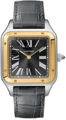 Cartier Santos Dumont Large Yellow Gold And Steel Leather - W2SA0015 Watch