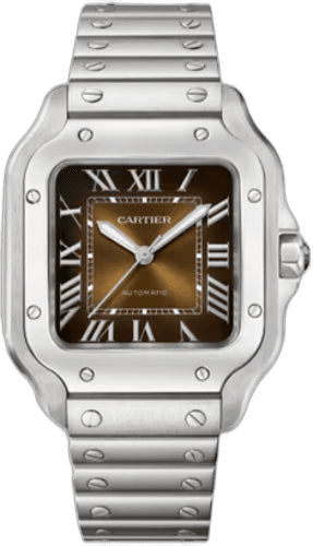 Cartier Santos de Cartier Watch Medium Model Automatic Movement Steel Interchangeable Metal And Leather Straps - WSSA0065 Watch Ref. WSSA0065