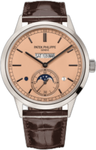 Patek Philippe Grand Complications Platinum — Salmon Dial In-Line Perpetual Calendar | Ref. 5236P-010