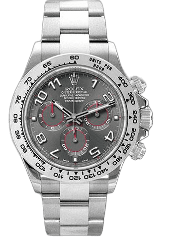 Rolex Daytona White Gold — Grey Arabic Dial | Ref. 116509