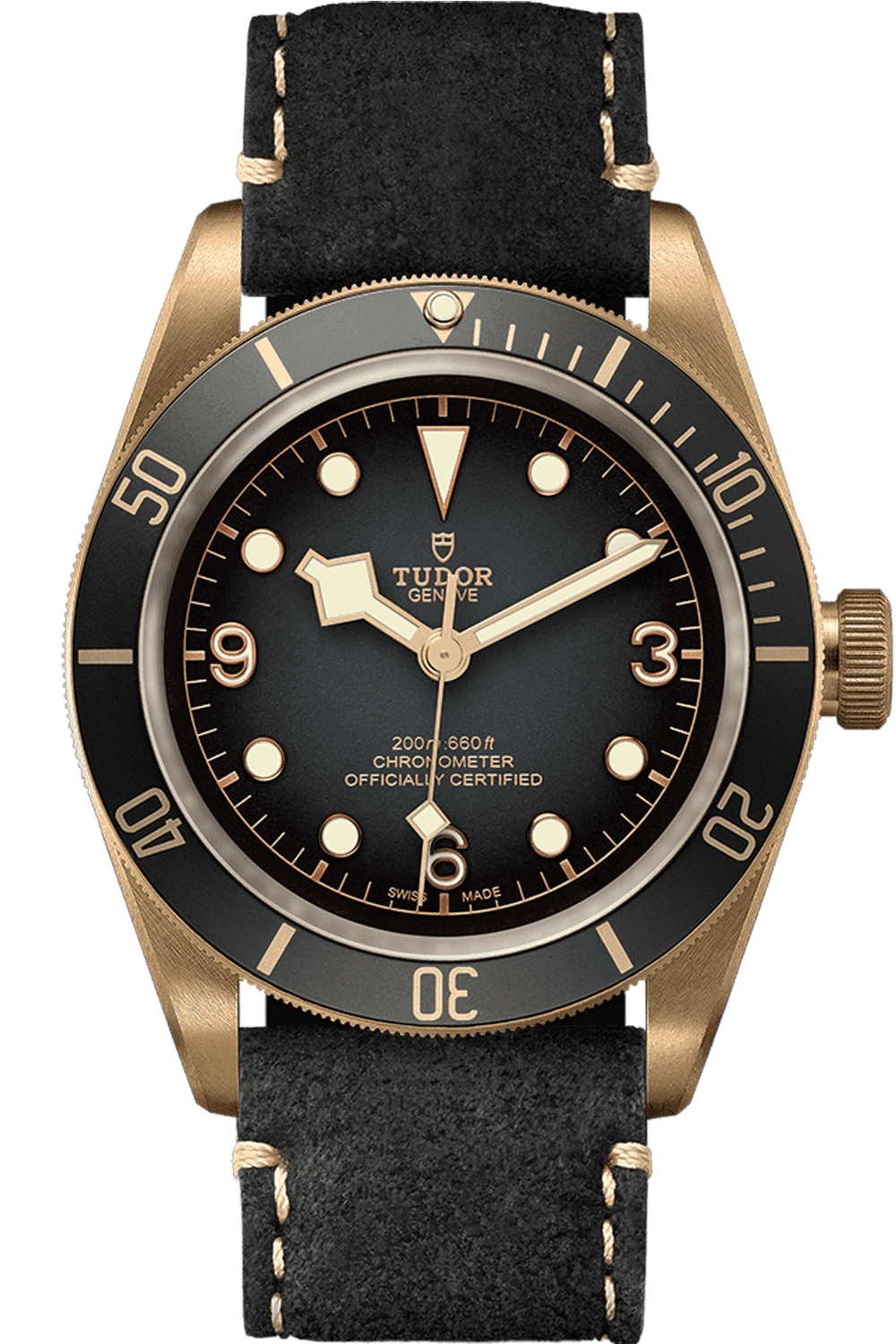 Tudor Black Bay Bronze — Slate Gray Dial & Bezel | Ref. M79250BA-0001