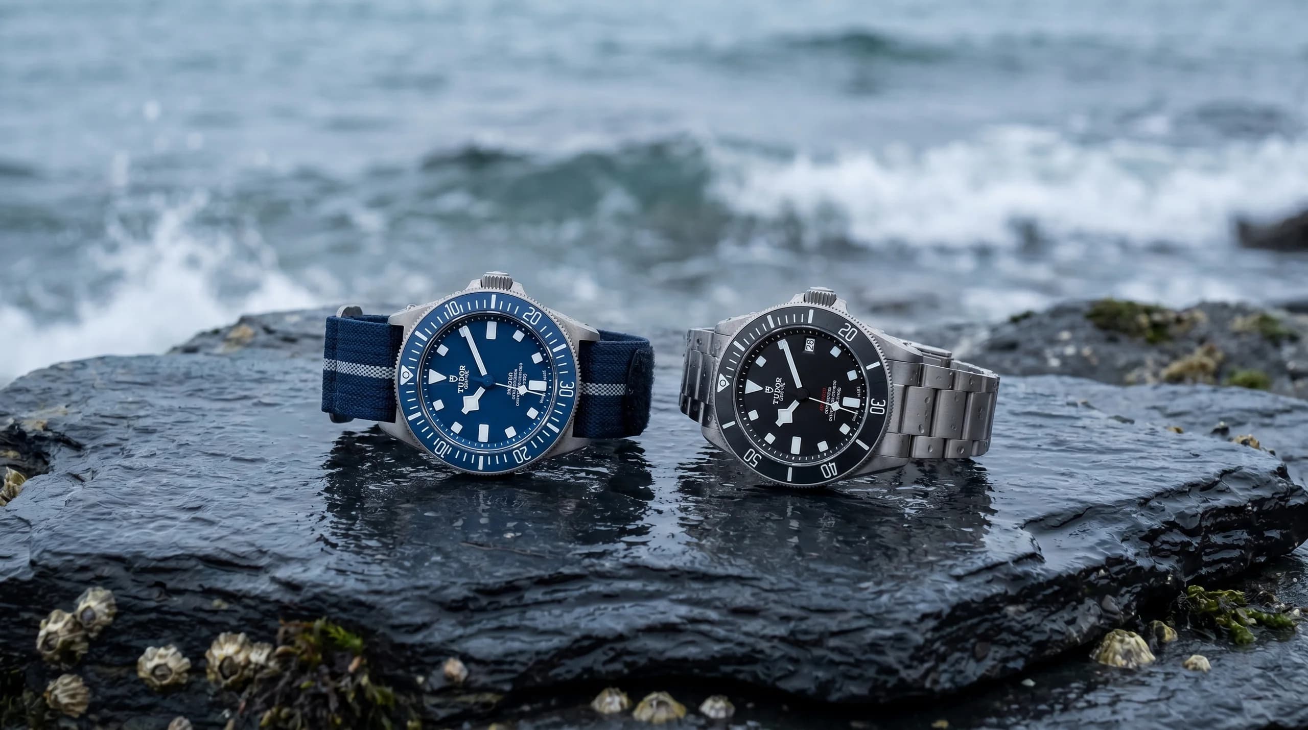 Pelagos 39 vs Pelagos FXD: Which Tudor Titanium Diver Is Actually for You